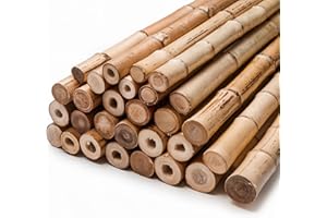 LG TRADERS LIMITED Gardens 2Ft,3Ft,4Ft,5Ft,6Ft,7Ft,8FT,10Ft Strong Heavy Duty Professional Bamboo Plant Support Garden Canes (40, 6ft, 14-16 mm)
