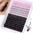 CORUSCATE 100D Cluster Lashes with Bottom Lashes Spikes Individual Eyelashes Multi-type DIY 5-20mm Eyelash Thick Clusters Lash Individual Cluster Fairy and Spiky Lash Clusters Extension