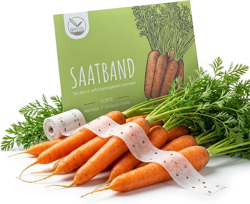 5m Saatband Karotten Samen (Nantaise 2 - Daucus carota) - Saftig, knackige Möhren ideal für die Anzucht im Garten, Balkonkasten & Gemüsebeet