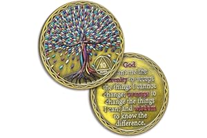 ATSKNSK 10 Years Sobriety Coin Colourful Tree of Life AA Chips AA Coins and Medallion Alcoholics Anonymous Coin Serenity Prayer Coin Recovery Anniversary Token Sobriety Gifts for Women Men