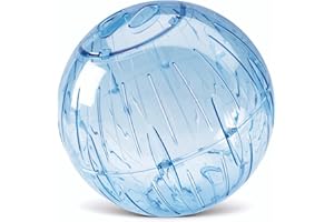 Savic Runner Palla per Esercizi - Multicolore, 25cm