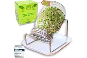 Green SEEDS Sprossenzauber® Sprossenglas 1er Set 500ml – Edelstahl-Deckel & Auffangschale – Sprossen selber ziehen – Keimglas für Brokkoli, Alfalfa, Kresse – Einsteiger-Set für frische Microgreens