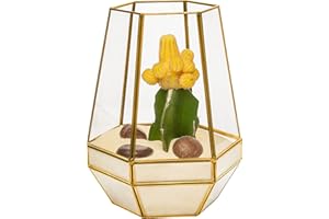ULTRABYEASYPEASYSTORE Ultra 18x18x23cm Gold Clear Glass Terrarium Planters Geometrische Form Für die Verlauten Einzigartiges Zentrum oder Windowsills für Luftanlagen Fern Moss Succulents Indoor Garden
