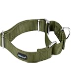Haoyueer Martingale-Hundehalsband – Verstellbar Mit Blumenmuster, Größe M (36–45 Cm)
