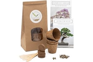 HAPPYSEED Bonsai Starter Kit - Bonzai set avec pots de noix de coco, graines et terre - idée de cadeau durable pour les amoureux des plantes (Glycine + Pin Australien)