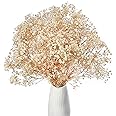 Gipizi Dried Baby's Breath Flowers Natural Bouquet, 17 inch Cream White Gypsophila Dried Bulk 3000+ Flowers Babys Breath, Real Gypsophila for Wedding, Party, Wreath Floral DIY, Home Decor