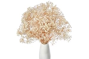 Gipizi Dried Baby's Breath Flowers White, 17inch Dried Natural Flowers Babys Breath Bulk with 3000 Buds, Real Dry Gypsophila for Wedding, Party, Wreath Floral DIY, Home Decor
