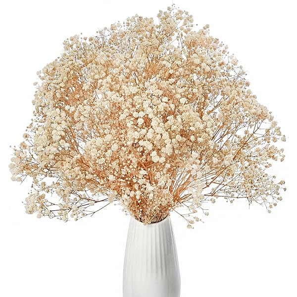 EACHPT 3 Pièces Anneau En Métal Avec 3 Supports En Bois 10cm+20cm,Anneau Pour Couronne Pour Le Cerceau Floral De DIY, Décor De Couronne De Mariage, Catcher De Rêve Et Artisanat Suspendu De