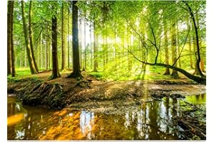 Runa Art Papier peint intissé forêt ruisseau 352 x 250 cm Toison Mur XXL Muraux Tapisserie Photo Décoration Murale Salon Chambre vert marron 9141011a