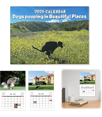 The Cobblestone Way 2026 Wall Calendar, 16-Month Art Calendar By Kim - View #8