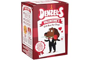 Denzel's Dog Treats - Valentines Gift for Dogs - Mini Valentines Gift Box 120g