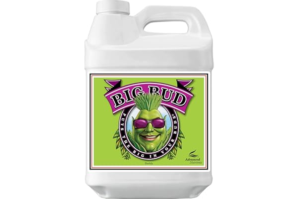 Advanced Nutrients GL525050-12 Big Bud Engrais Liquide 250 ML Marron/A