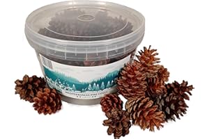 TIN DREAMS FACTORY, 40 uds, Piñas Naturales, piñas Decorativas, Premium. - 800 gr Aprox. Tamaño 5-10 cm