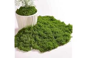 MAKOTO NOBU 50g Mousse artificielle pour décorer, Mousse artificielle pour Bricolage Faux Gazon Extérieur Doux et Réaliste Réutilisable, arrangements floraux, jardin féérique et décoration de mariage, Vert foncé