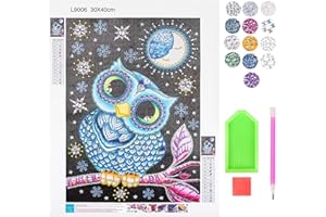 TECHEEL 5D Diamant Painting Set Diamond Painting Kinder Eulen Teenager Mädchen 30x40cm 5D DIY Diamantmaler-Set, Diamond Painting Geschenke für 8 9 10 11 12 Jährige Mädchen Teenager (B)