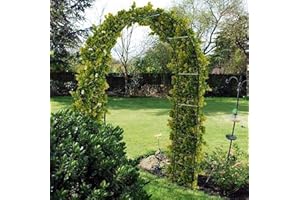 MONAL Black 2.4M Metal Frame Garden Arch Heavy Duty Strong for Climbing Arbor Plants Roses Support Lawn Patio Archway Wedding Garden Decoration