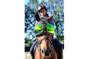 EQUICK Lunettes Cheval eVysor
