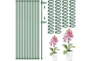 BGTLJKD 55 Piezas Tutores para Plantas, 30cm Varillas de Soporte de Plantas, Palos para Tomateras Estacas de Plantas Estacas para Jardín para Extensión de Apoyo de Plantas Trepadoras