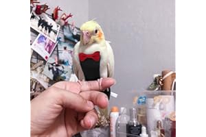 KUSO Pappagallo Pannolino Riutilizzabile Lavabile Pannolini Vestito Vestito Kimono Vestiti per Uccelli Budgie Parrocchetto Cockatiel Conure Cacatua Africano Ara (XXL, Nero)