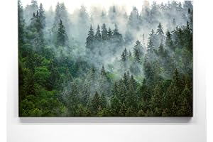BILDERKING Atemberaubendes Leinwandbild Wald im XXL Format 120x80cm. Das Motiv Nebelstimmung als großes Wandbild. Fertig aufgespannt auf Holzrahmen. Als Hintergrund und Deko für Wohnzimmer & Schlafzimmer