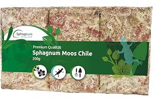 SphagnSphagnummossa för terrarier och orkidéer från Chile från 150 gr till 5 kg torkadummossa från Chile för terrarium och orkidéer, 1 (150 g)