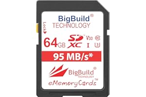 BigBuild Technology 64 Go UHS-I U3 95Mo/s Carte mémoire pour Panasonic Lumix DMC FT30, FT30EF A, FT30EF D, FT30EF K, FZ1000, FZ2000, FZ2500, FZ300, FZ72, FZ82, FZ82EBK Caméra