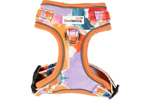 DOODLEBONE Adjustable Airmesh, Watercolour, 2-3