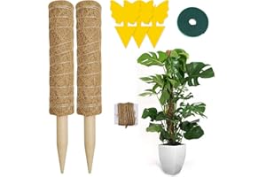Hongyans 2 Pièces Tuteur Monstera 30cm Support Plantes Grimpantes Tuteur Coco pour Plante Maison Jardin avec Serre Câbles, Ficelle de Jute, Attrape Moucheron