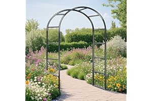 Générique Arche de Jardin en Métal Fer Antirouille, Arche Rosier de Robuste pour Plante Grimpante, Décoration de Cérémonie Fête, 80cm 140cm 180cm 200cm 240cm 280cm 300cm 350cm(Noir,W140 X H230cm)