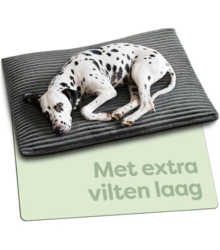 Knupis Zelfverwarmende Kattenwarmtedeken 60x45 cm – Zacht & Geluiddempend – Wasbare Hoes – Met Antislip Onderkant – Grijs