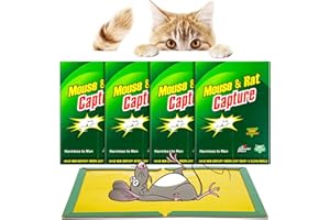 Stingmon Trap Trampas para Ratones | 4 Piezas Trampa Ratas | Mata Ratas Potente | Pegamento Ratas | Trampa Ratones | Pegamento Ratones | Trampa Adhesiva para Ratones | Apto para Ratones y Ratas