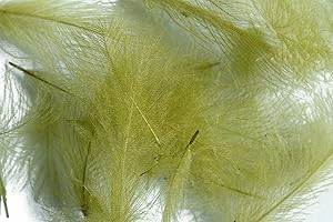 HARELINE DUBBIN 1g - CDC (Cul de Canard) Federn - PMD (Pale Morning dun) - Für Fliegenbinden