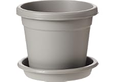 Cosmoplast Plastic Round Flowerpot 6” with Tray-P