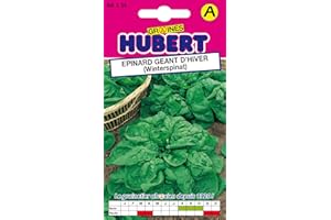 GRAINES HUBERT SEMENCES & ENGRAIS MAIROL Graines d'Epinard géant d'hiver - 10 grammes