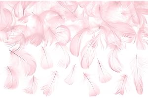 PARTYDECO Deco Plumes Roses.