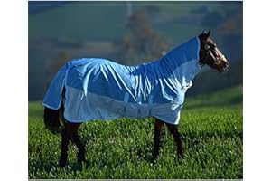 Asker Rain Waterproof Fly Combo Rug - Teal