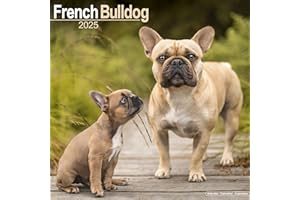 French Bulldog 2025 Square Wall Calendar | Dog Breed Calendar