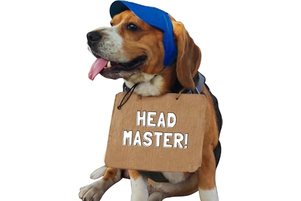 GoBandanas cotton Baseball Cap with Neck Strap for Dogs by Go Bandanas (M, Blue), 1 Count