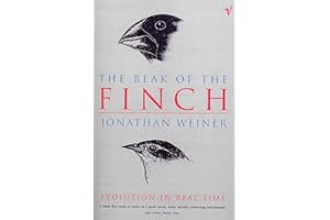 The Beak Of The Finch
