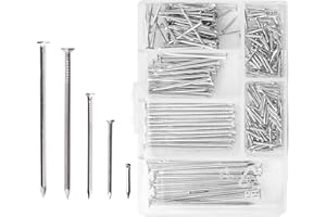 D.A.Y. REPUBLIC 250 Assorted Flat Head Nails Perfect for Wood and Hanging Pictures, Long, Medium and Small Wall Nails for DIY and Crafts, Home Décor, Woodwork, Furniture and Construction, Silver