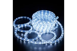 Forever Speed 10M Tubo de LED Manguera LED Luces de Tira de Manguera Exterior e Interior Blanco Frío,Tiras LED Adecuado para Decoración e Iluminación Navidad, Halloween, Boda,Fiesta, Hotel, Jardín