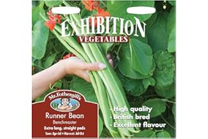 MR FOTHERGILLS Mr Fothergill?s Seeds Ltd 24932 Vegetable Seeds, Runner Bean Benchmaster