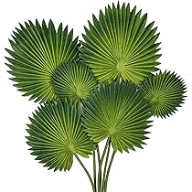 Ramo Di Palma Tropicale Artificiale 63 Cm – 15 Foglie Finte In Plastica Per Decorazioni Hawaiane, Luau, Feste A Tema Spiaggia E Composizioni Floreali.