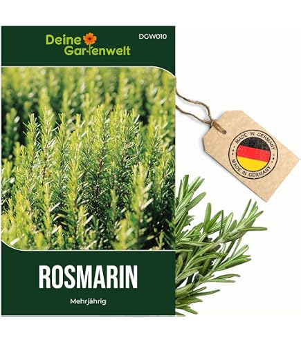 ramtillkraut saatgut kaufen Wildblumenwiese Saatgut 100g  Vom Reiter