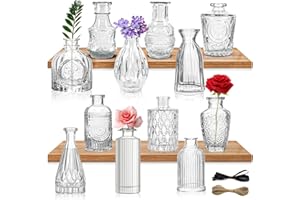 YUTUY Vaso di Fiori Piccolo,Set di mini vasi,12 Vintage Mini Vaso, delicato vaso di fiori in vetro decorazione vintage, per Rose Pampa Erba,feste di matrimonio in casa decorazioni