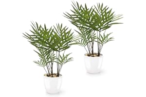 PASCH® Zestaw 2 sztucznych palm Areca (25 cm) w białych doniczkach ceramicznych: sztuczne rośliny jak prawdziwe | sztuczne rośliny w doniczce | sztuczna palma | sztuczne kwiaty w doniczce | sztuczna