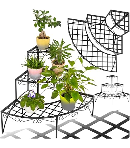 Support Plantes Grimpantes Extérieur - 5 Picots Métal Vert 40cm - Pour Roses, Orchidées Et Arbres
