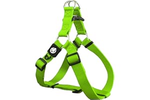 DDOXX Arnés Perro Step-In Nylon, Ajustable | Muchos Colores & Tamaños | para Perros Pequeño, Mediano y Grande | Accesorios Gato Cachorro | Verde, L