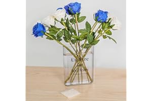 DYMHQ Przezroczysty akrylowy wazon na książki i kwiaty - uroczy regał na książki i dekoracja z perłami wodnymi, do salonu i sypialni