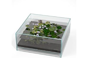 LANDEN Glass Air Aquarium Tank Multi-SceneLandscape Aquarium, 1.6Gallon Rimless Low Iron Shallow Tank,W10.6×D10.6×H4.7 in(27x27x12cm) 5mm Thickness